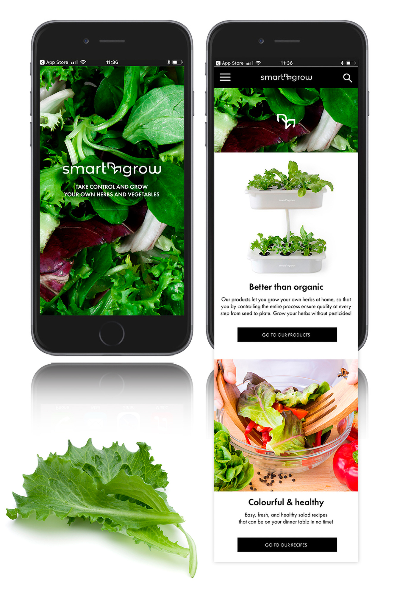 Portfolio Page: Smart Grow