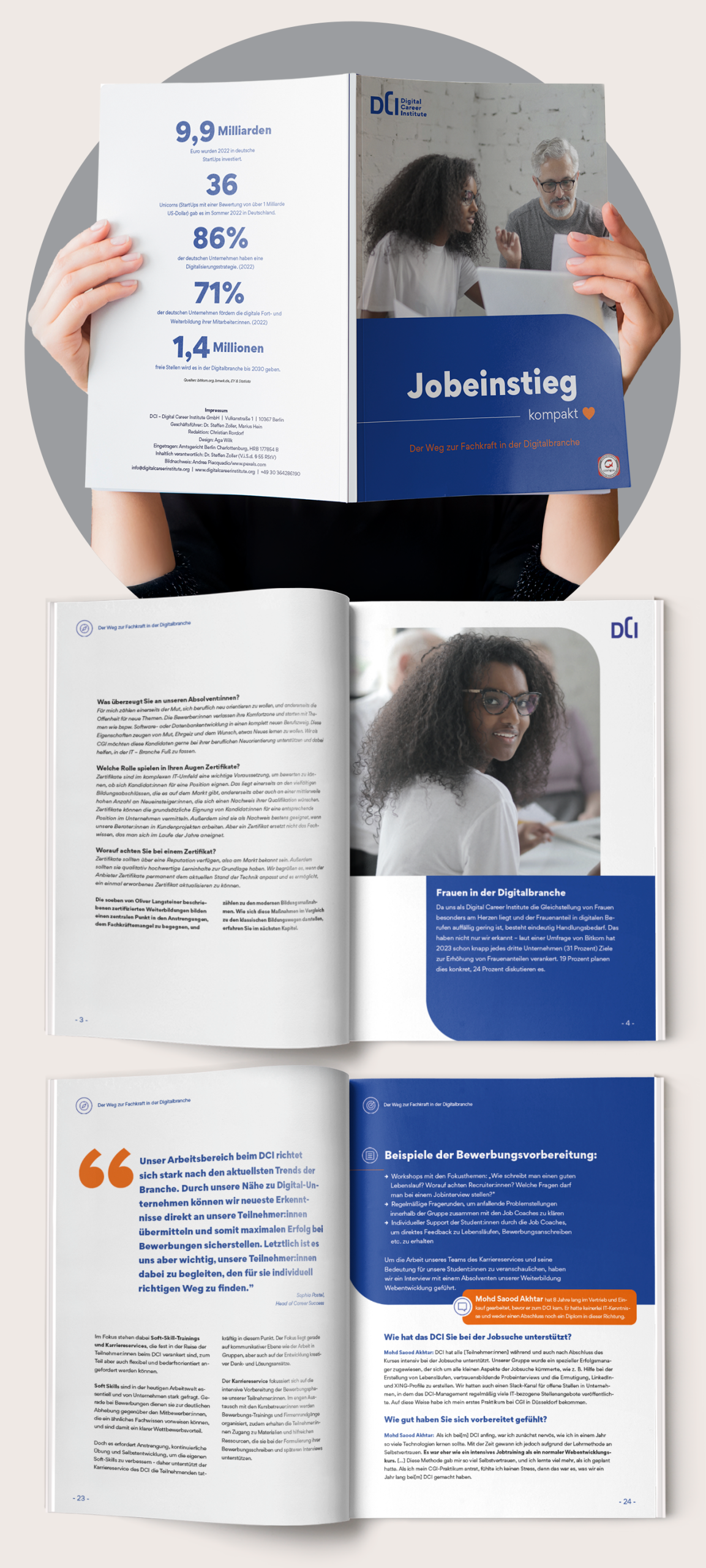 Portfolio Page: DCI before the brand Re-brush